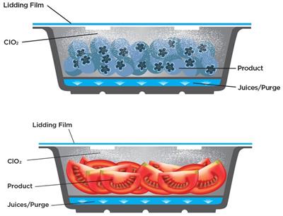 Evaluation of a novel chlorine dioxide-based packaging technology to reduce human enteric virus contamination on refrigerated tomatoes and blueberries